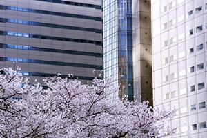 短期にも中期にも便利なウィークリーマンション